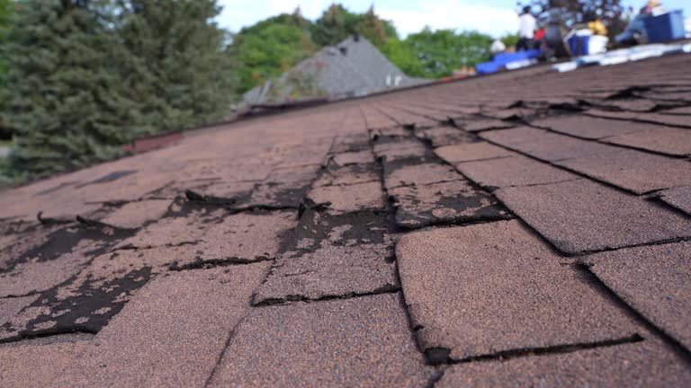 Best Storm Damage Roof Repair  in Elida, OH
