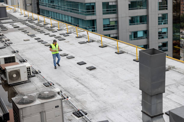Best Skylight Installation and Repair  in Elida, OH